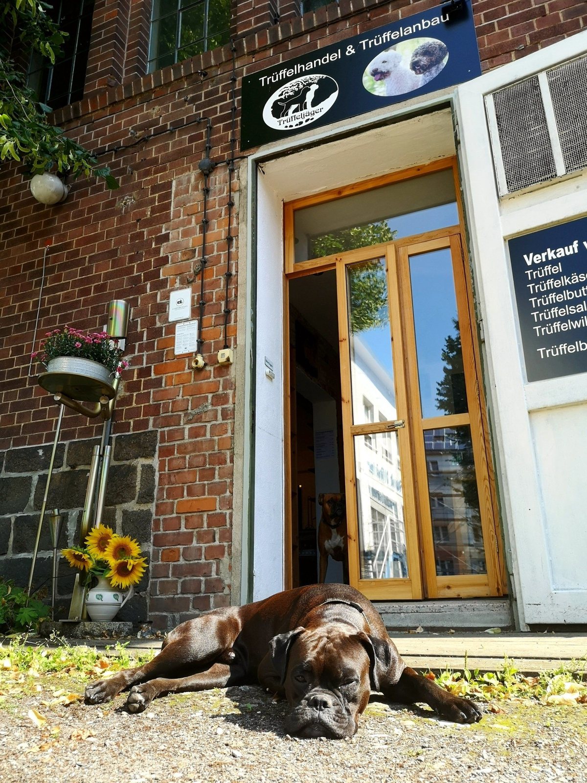 Eingang des Hofladens in Eilenburg mit Hund davor