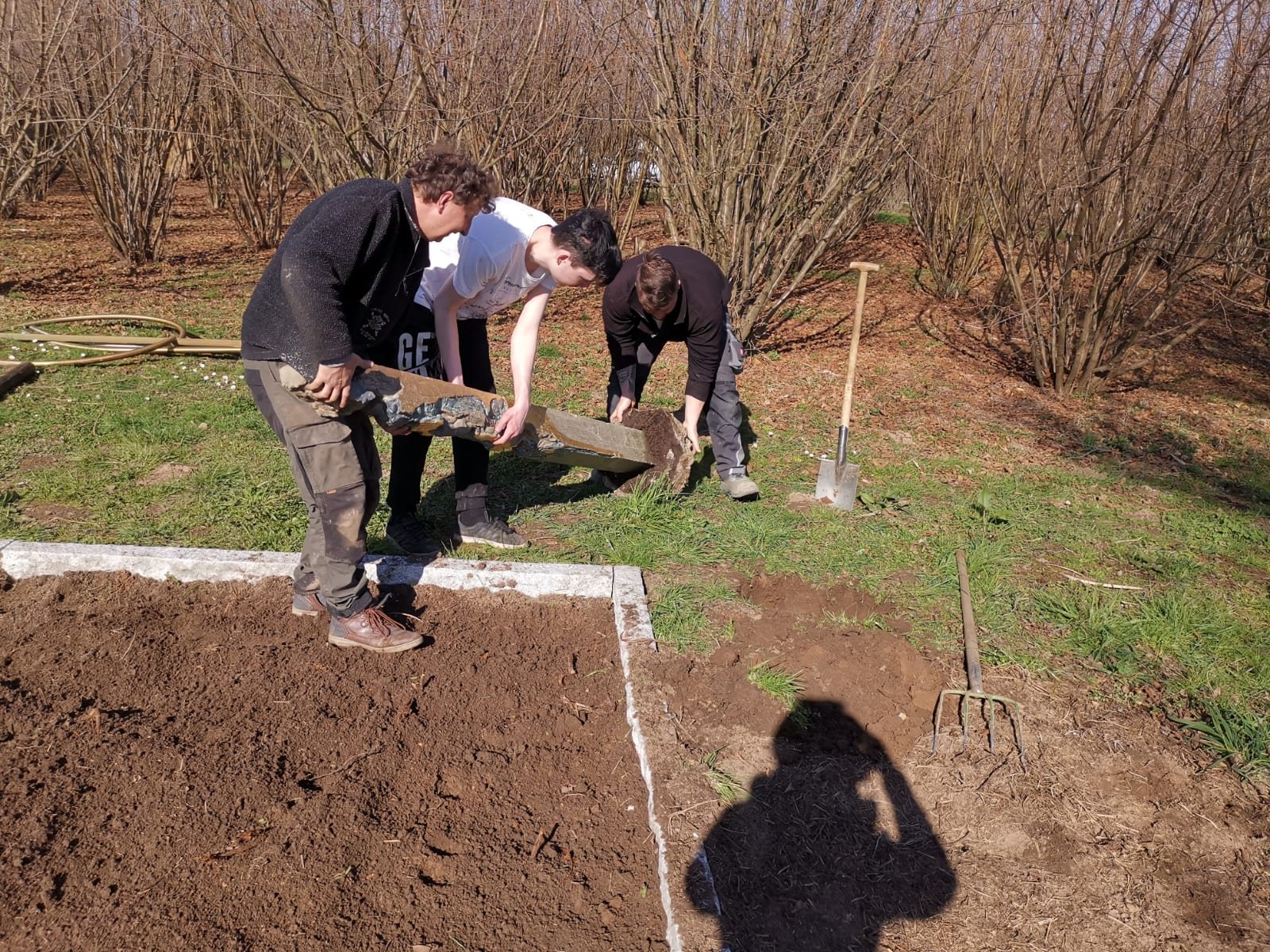 Pflanzarbeiten zwischen den Baumreihen der Trüffelplantage
